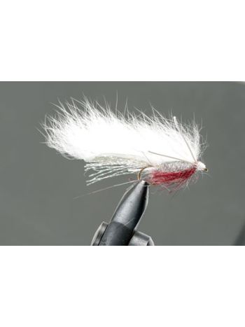 White Zonker