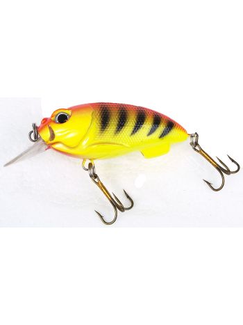 ECO Narrow Gul bug og side med sorte tigerstriber orange ryg